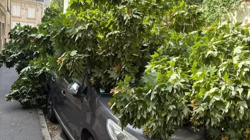 Le vent fait des dégâts