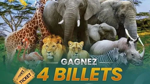 Arnaques sur Facebook : le zoo belge Pairi Daiza appelle à la...