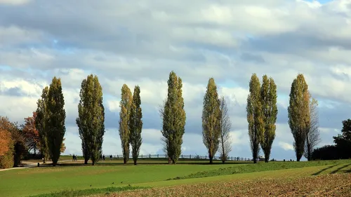 Belgique : un enfant de 5 ans meurt écrasé par un arbre à...
