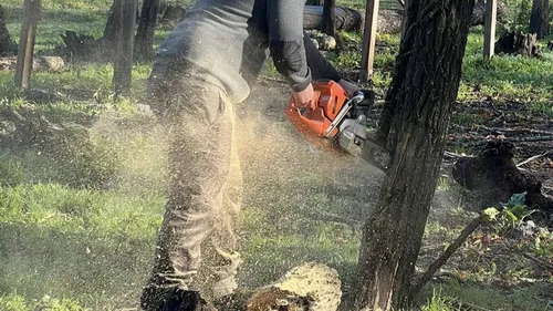 Le Parc Animalier de Landiras dévasté : il lance un appel aux dons