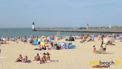 Un mois de juillet exceptionnel dans les Hauts-de-France, selon...