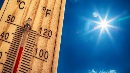 Vague de chaleur: Le Nord et le Pas-de-Calais pas épargnés! 