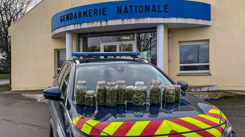 Il avait la main un peu trop verte