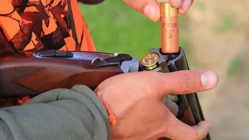 Plan chasse : le gouvernement l’interdit pas la pratique le...