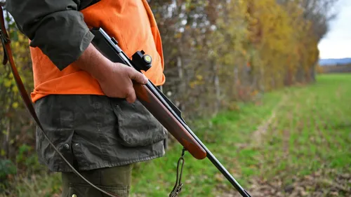 La balle d'un chasseur atterrit dans le salon d'une maison en...