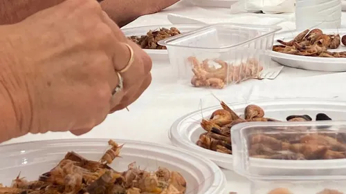 Leffrinckoucke : la championne du monde de décorticage de crevette...