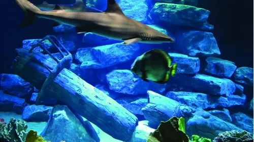 Carte Postale : Champagne FM vous emmène à Amnéville, la cité des...