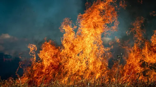 Incendie : dernier point de la Préfecture de Gironde