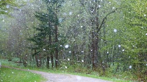 Hauts-de-France : premiers flocons de neige ce vendredi ?