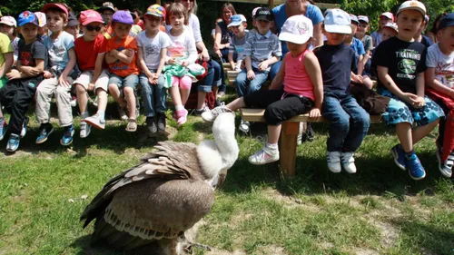 Carte Postale : Champagne FM vous emmène au Parc Argonne Découverte 