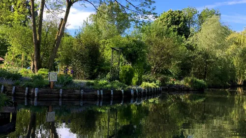 Amiens : une voiture tombe dans les Hortillonnages, quatre...