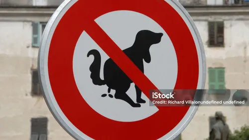 Déjections canines : Reims adopte le  contrôle par ADN.