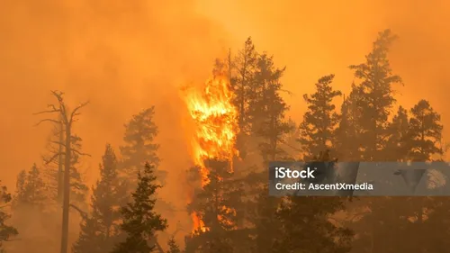 Un nouvel incendie parcourt 750 hectares à Narbonne 