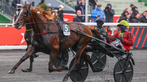 Josh Power, le trotteur aux propriétaires Arrageois deuxième du...