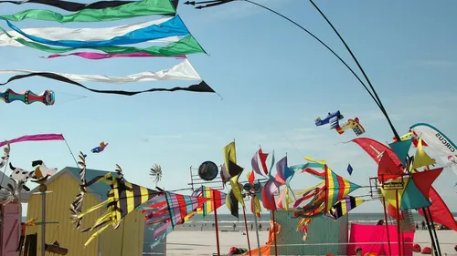 Parkings, itinéraires : ce qu'il faut savoir avant d'aller aux...