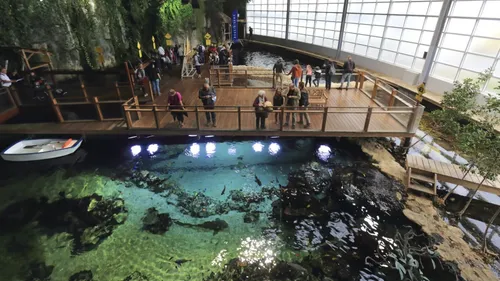 Nausicaà ferme son lagon tropical jusqu’en 2024 