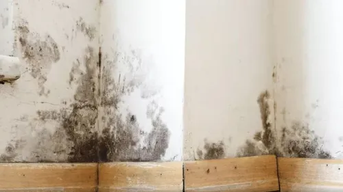 16% des logements insalubres de France se trouvent dans le Nord