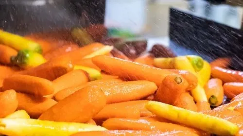 La première légumerie de la Marne a été inaugurée 