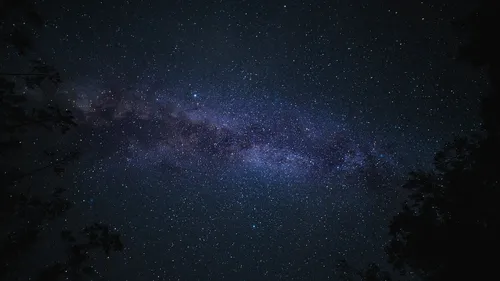 Plongez cet été dans le ciel étoilé des Landes de Gascogne!