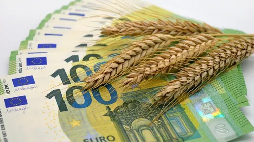 Expérimentation : une sécurité sociale de l'alimentation en place...