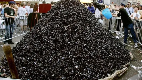 Elle est de retour ces 3 et 4 septembre : la braderie de Lille en...