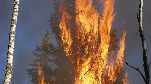 Incendies en Gironde : un an jour pour jour