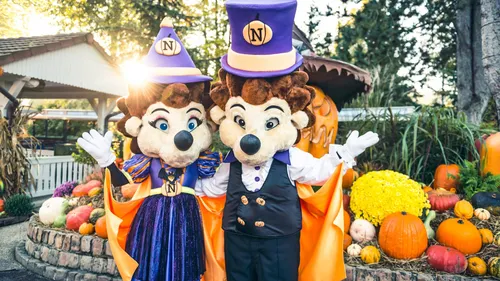 Nigloland recrute pour Nigloween !