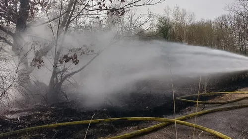 Canicule : des mesures d’interdiction prises dans les forêts de...