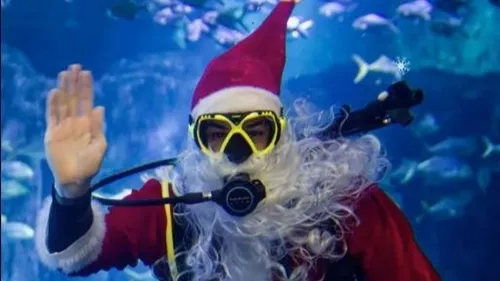 Le Père Noël est de passage à Nausicaà