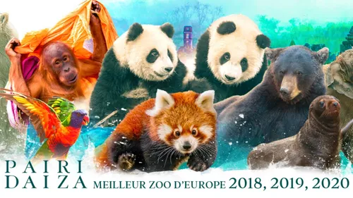 Emploi : le zoo Pairi Daiza recrute 70 personnes