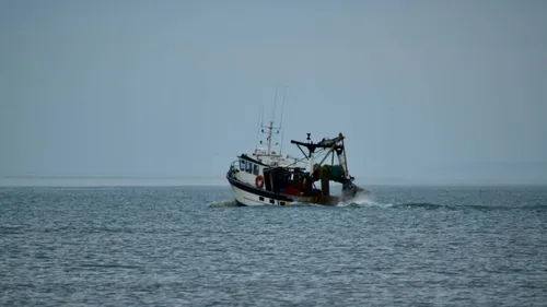Littoral : 3 nouvelles licences pour les pêcheurs de la côte d’opale