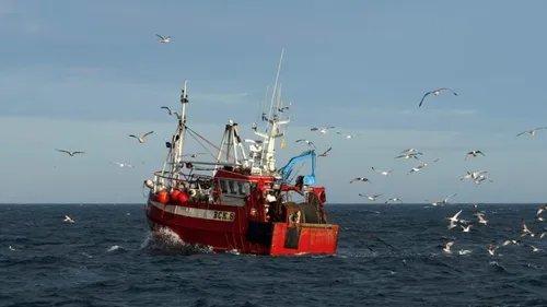 Quotas de pêche : la France mettra ses menaces contre le...