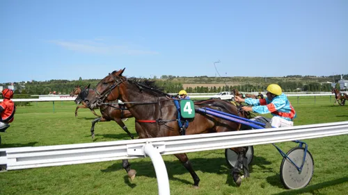 Les Pronostics Hippiques