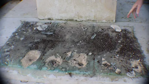 Un vol inqualifiable 