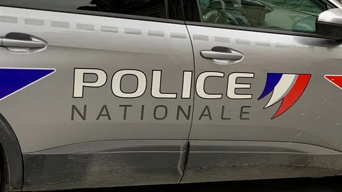 Alertés par des cris, les policiers tombent sur un... Cacatoès