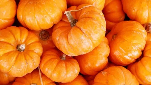 Une tonne de potimarrons volée à Lorgies