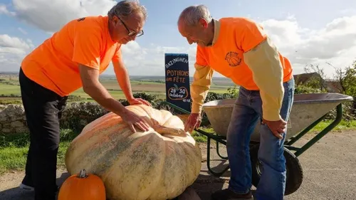 Bazinghen: Les cucurbitacées sont à la fête ce week-end! 