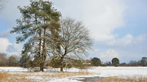 Météo: La neige et le gel de retour en début de semaine prochaine 