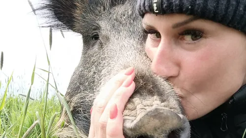 Une seconde chance pour Rillette