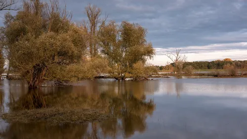 Inondations : des routes coupées et des maisons inondées