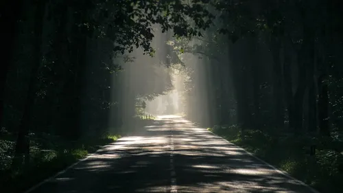 Une route fermée en Gironde 