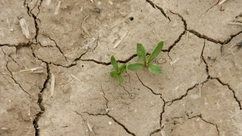 Sécheresse : Elisabeth Borne active la cellule interministérielle...
