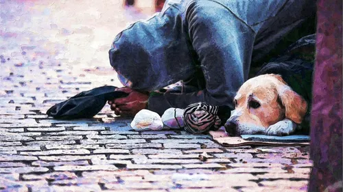 Hébergement d’urgence : ouverture temporaire de 100 places...