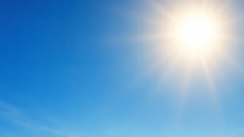 Canicule : les écoles s'adaptent 