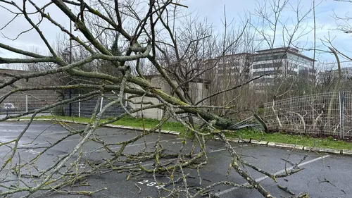 Tempête Nils : 135 000 foyers privés d'électricité en Haute-Garonne