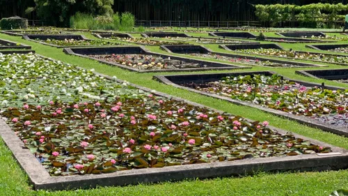 Temple-sur-Lot : le parc Latour-Marliac, lauréat du "Prix du Jardin...