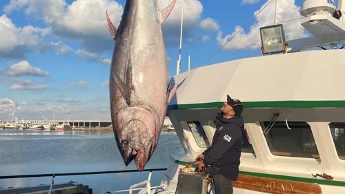 Boulogne: Une nouvelle belle prise pour les pêcheurs!