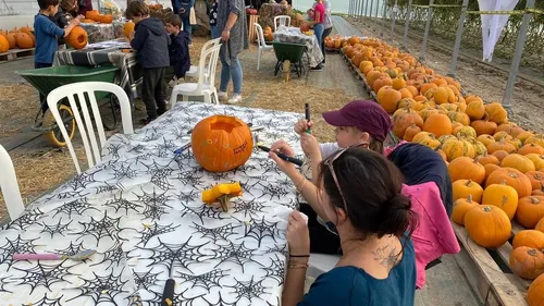 Venez fêter Halloween à la Cueillette de Troyes l'Espérance