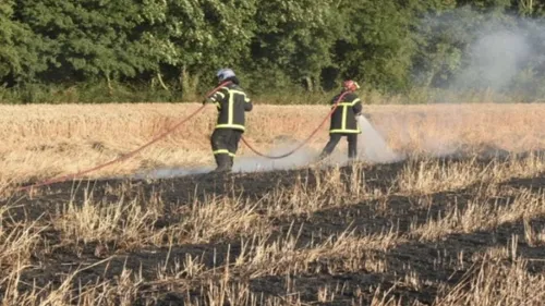 12 hectares d'un champ de blé partis en fumée près d'Arras