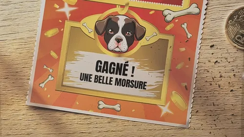 La Poste en campagne contre les morsures ! 